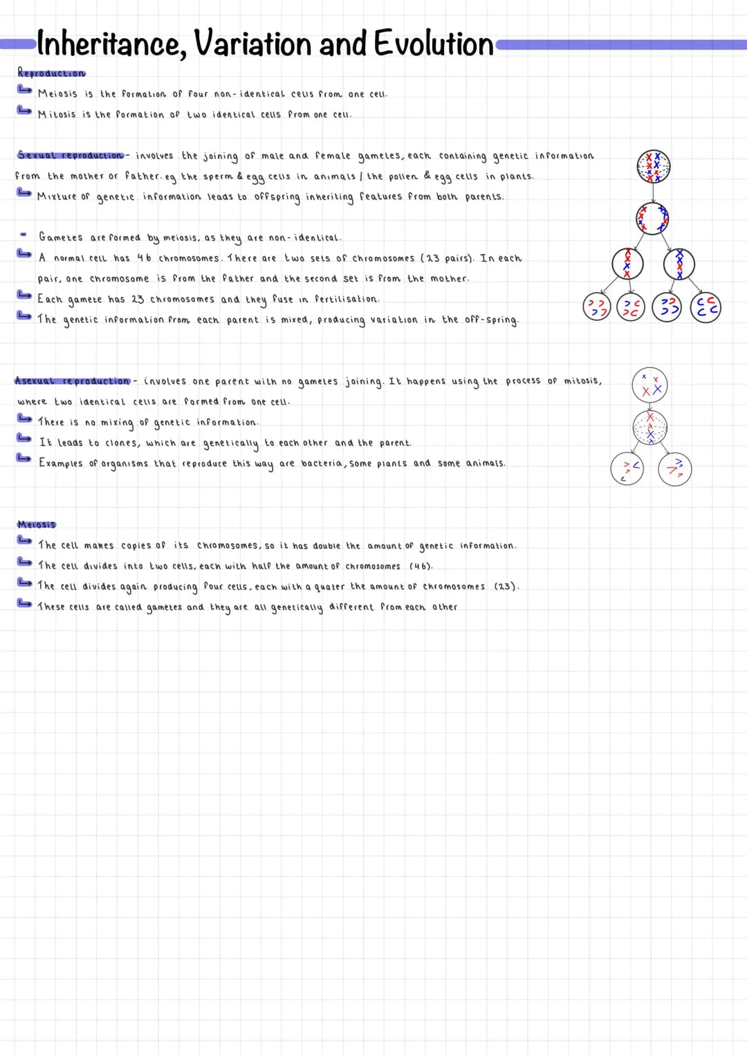 Inheritance, Variation and Evolution
Reproduction
Meiosis is the formation of four non-identical cells from one cell.
Mitosis is the formati