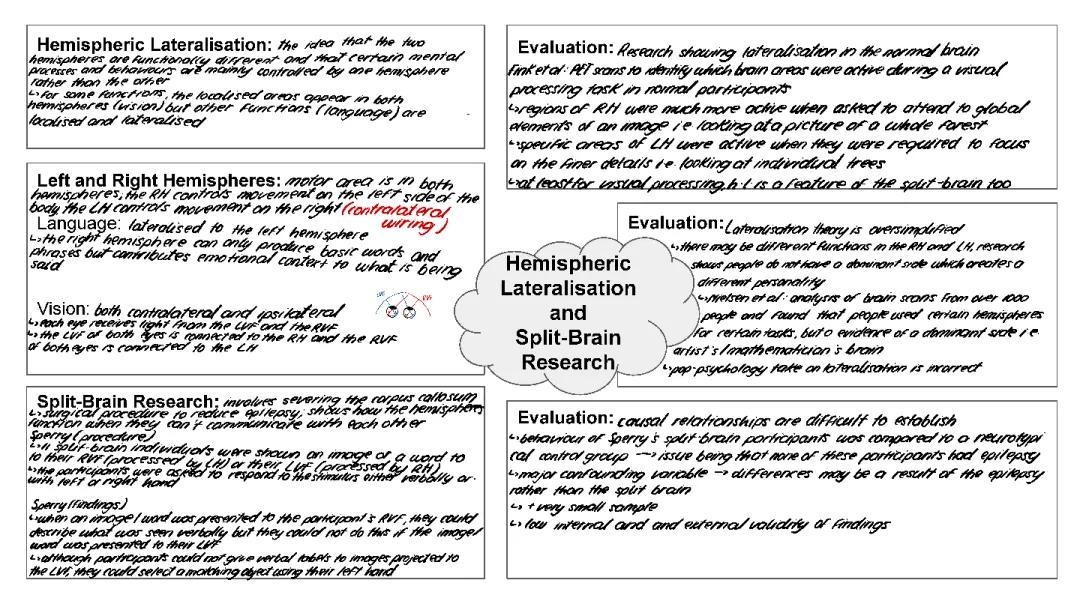 Understanding Hemispheric Lateralisation and Split Brain Research