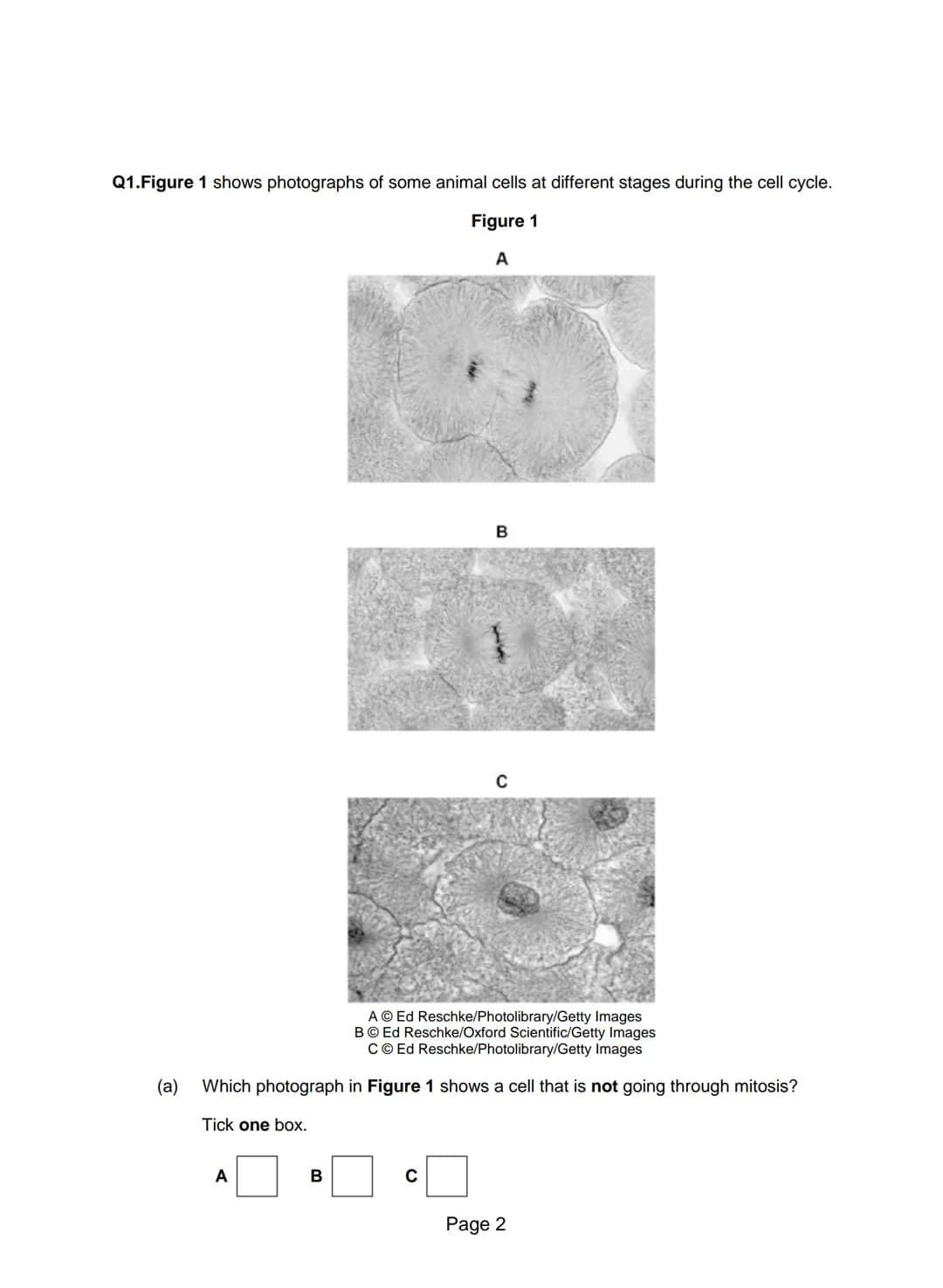 Q1.Figure 1 shows a human cheek cell viewed under a light microscope.
Figure 1
Ed Reschke/Photolibrary/Getty Images
(a) Label the nucleus an