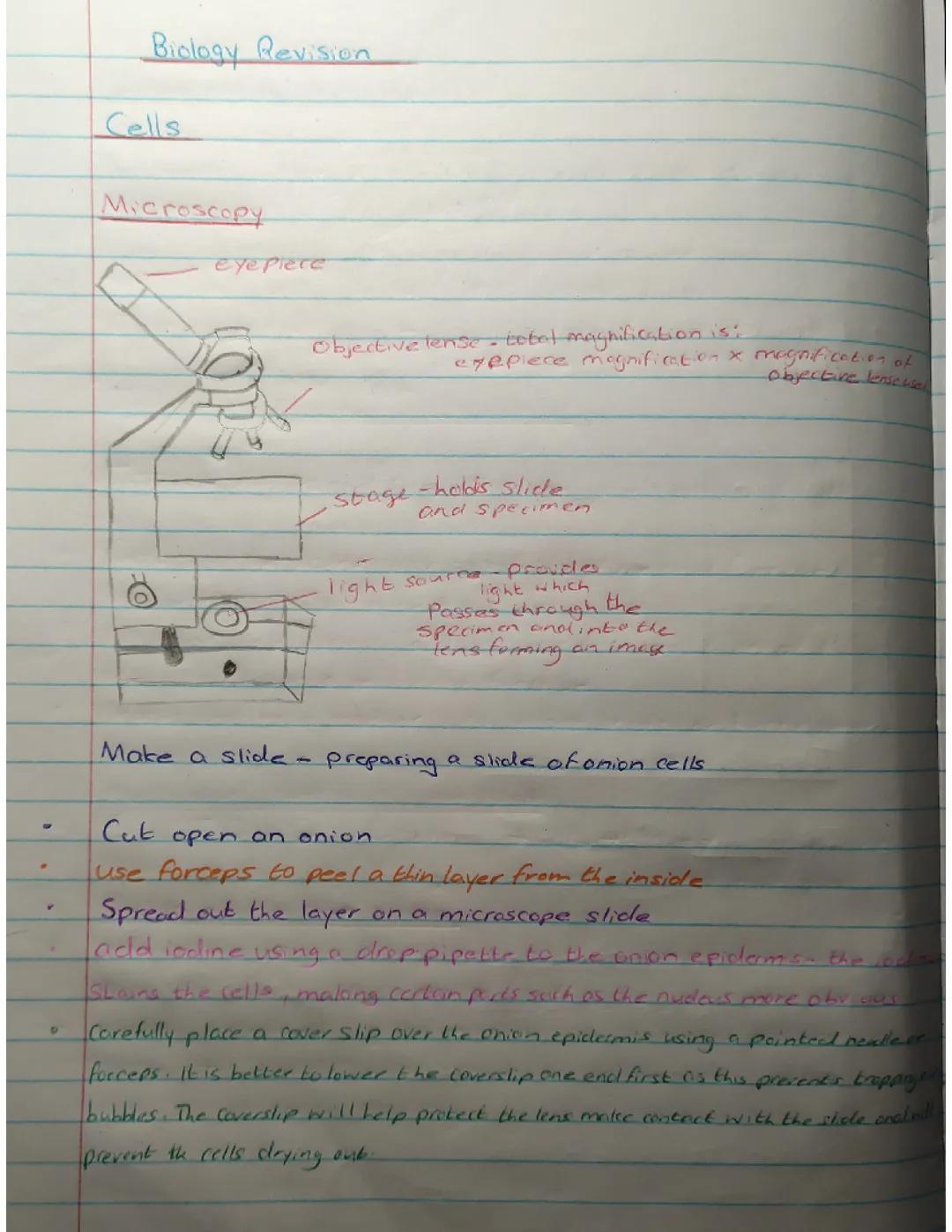 CCEA GCSE Double Award Science Biology B1 Notes 1