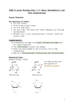 Know WJEC-A Level Biology-Unit 1.11 Basic Biochemistry and Cell Organisation  thumbnail