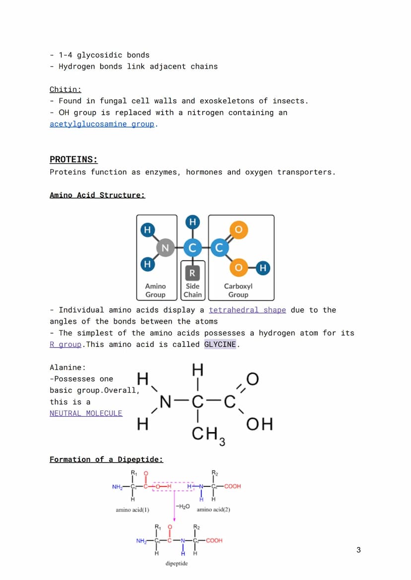 WJEC-A Level Biology-Unit 1.11 Basic Biochemistry and
Cell Organisation
Organic Molecules:
The importance of carbon:
● Can form 4 bonds
Form