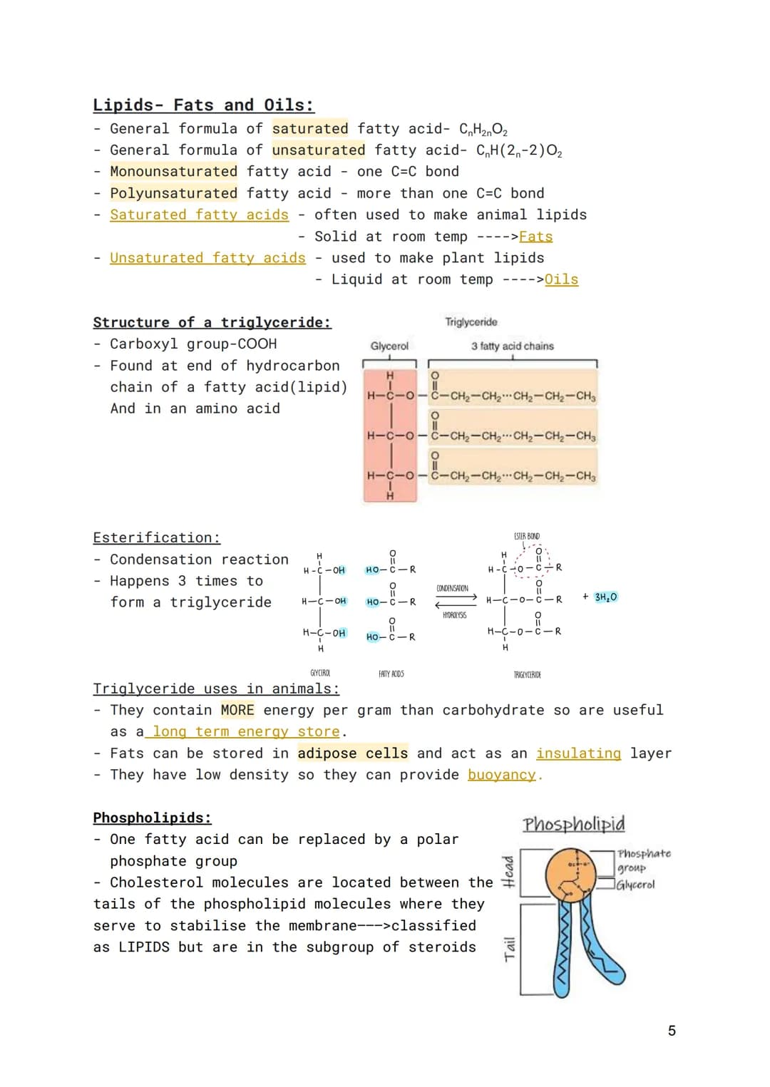 WJEC-A Level Biology-Unit 1.11 Basic Biochemistry and
Cell Organisation
Organic Molecules:
The importance of carbon:
● Can form 4 bonds
Form