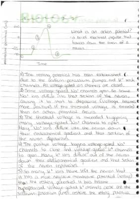 Know Action potentials  thumbnail