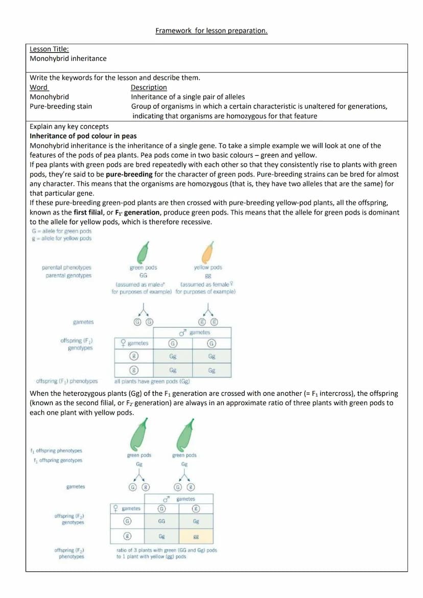 Lesson Title:
Studying inheritance
Write the keywords for the lesson and describe them.
Word
Description
Genotype
Genetic constitution (make