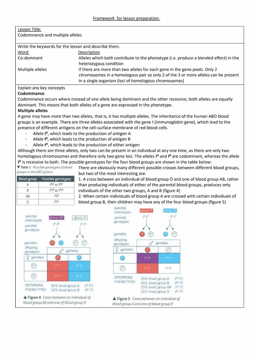 Lesson Title:
Studying inheritance
Write the keywords for the lesson and describe them.
Word
Description
Genotype
Genetic constitution (make