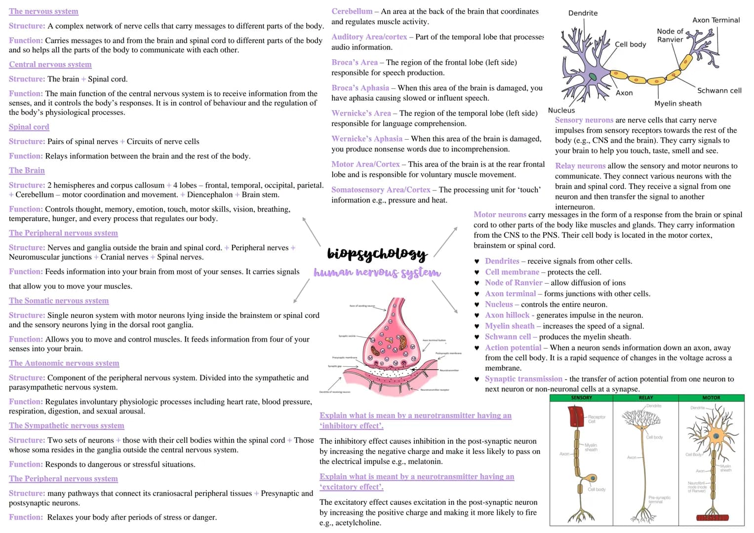 What is the endocrine system?
What do ovaries produce?
Eggs, oestrogen, and progesterone.
The endocrine system is a network of glands throug