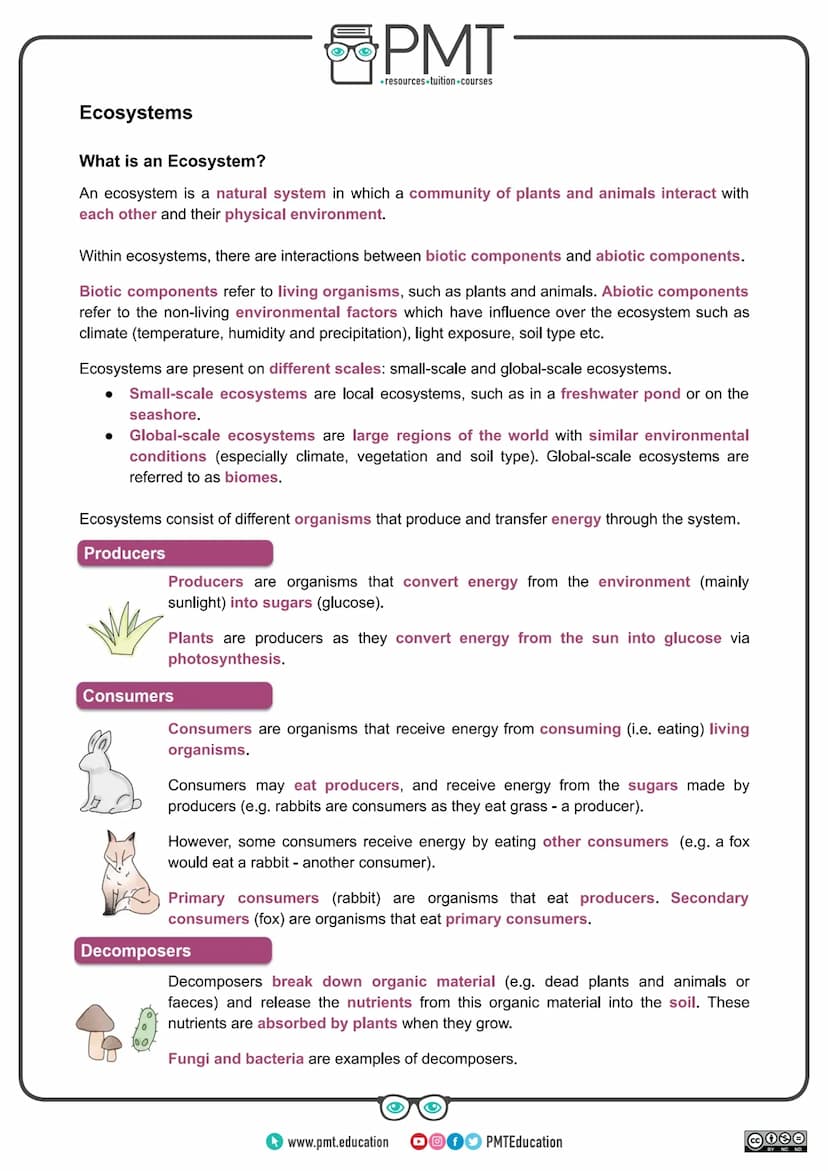 
<h2 id="introduction">Introduction</h2>
<p>AQA Geography GCSE covers the topic of ecosystems which are natural systems where plants, animal