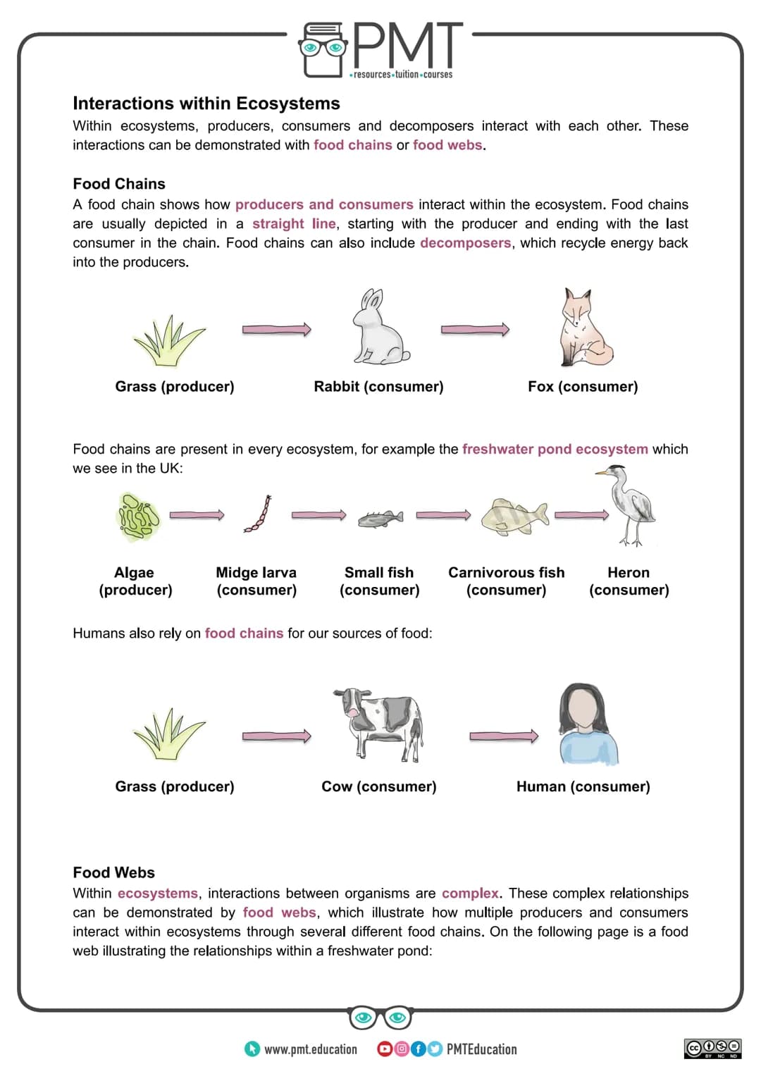 
<h2 id="introduction">Introduction</h2>
<p>AQA Geography GCSE covers the topic of ecosystems which are natural systems where plants, animal