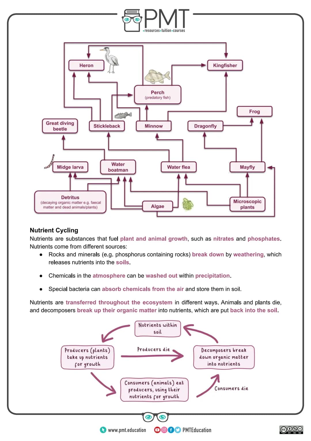 
<h2 id="introduction">Introduction</h2>
<p>AQA Geography GCSE covers the topic of ecosystems which are natural systems where plants, animal