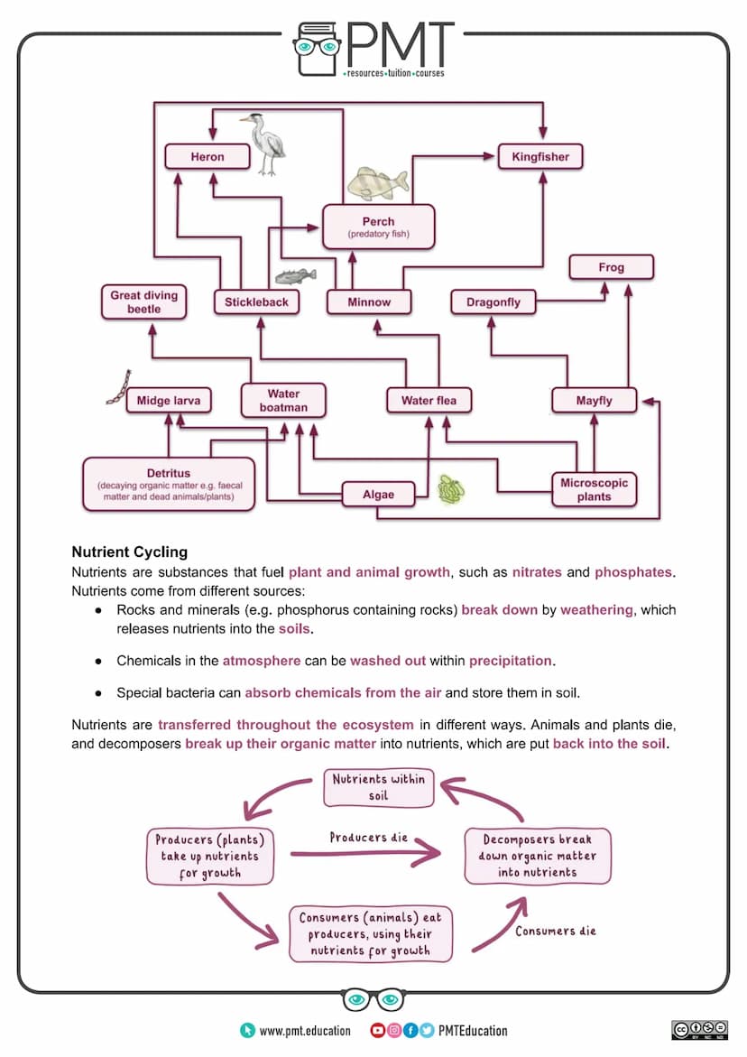 
<h2 id="introduction">Introduction</h2>
<p>AQA Geography GCSE covers the topic of ecosystems which are natural systems where plants, animal