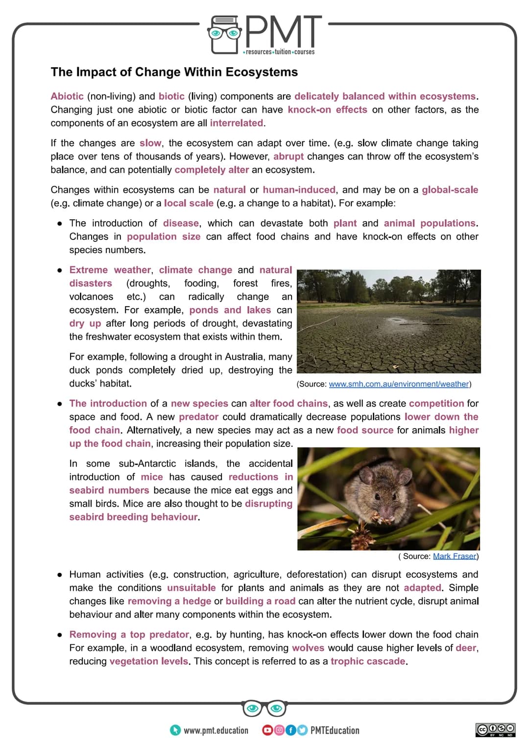 
<h2 id="introduction">Introduction</h2>
<p>AQA Geography GCSE covers the topic of ecosystems which are natural systems where plants, animal