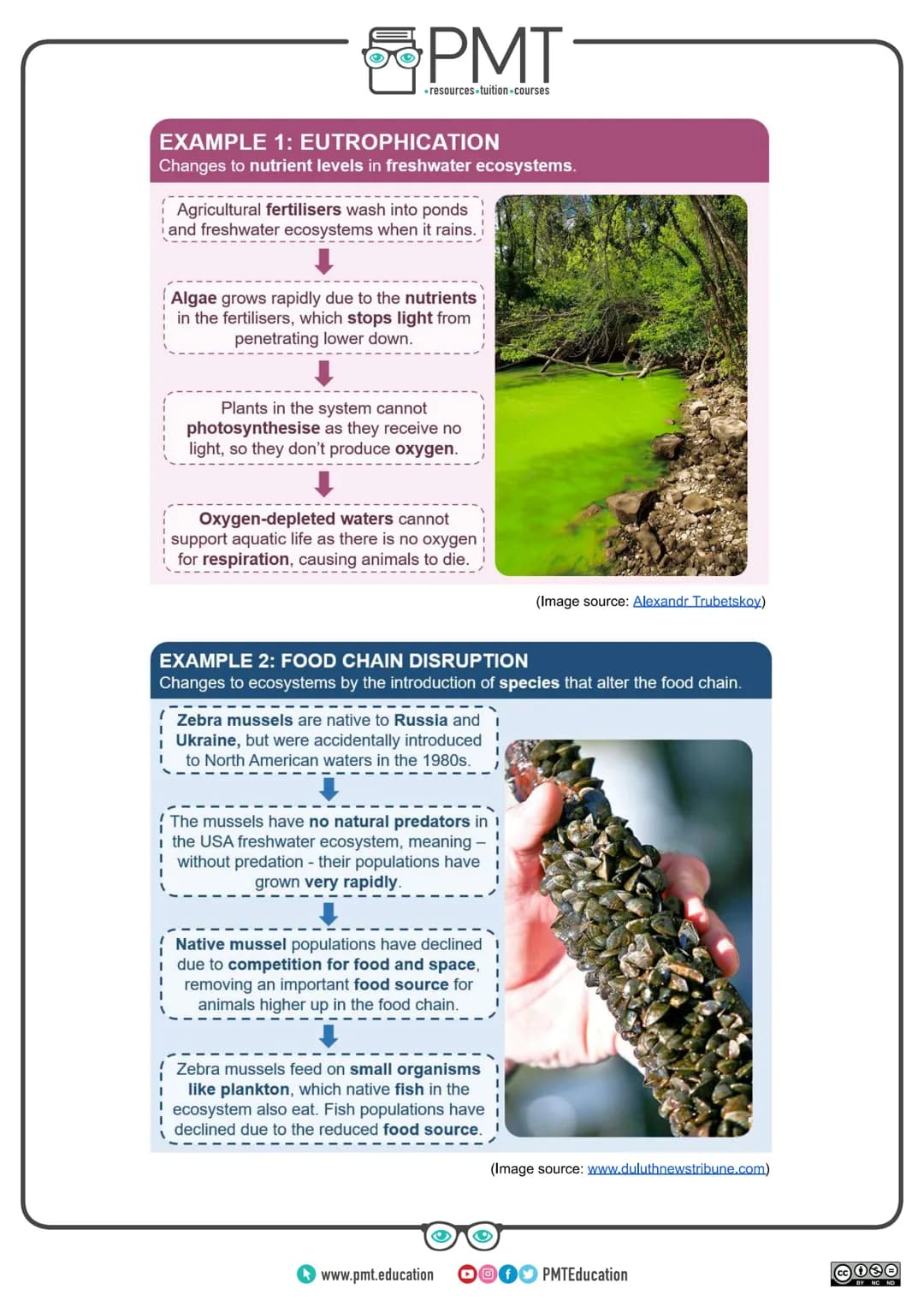 
<h2 id="introduction">Introduction</h2>
<p>AQA Geography GCSE covers the topic of ecosystems which are natural systems where plants, animal