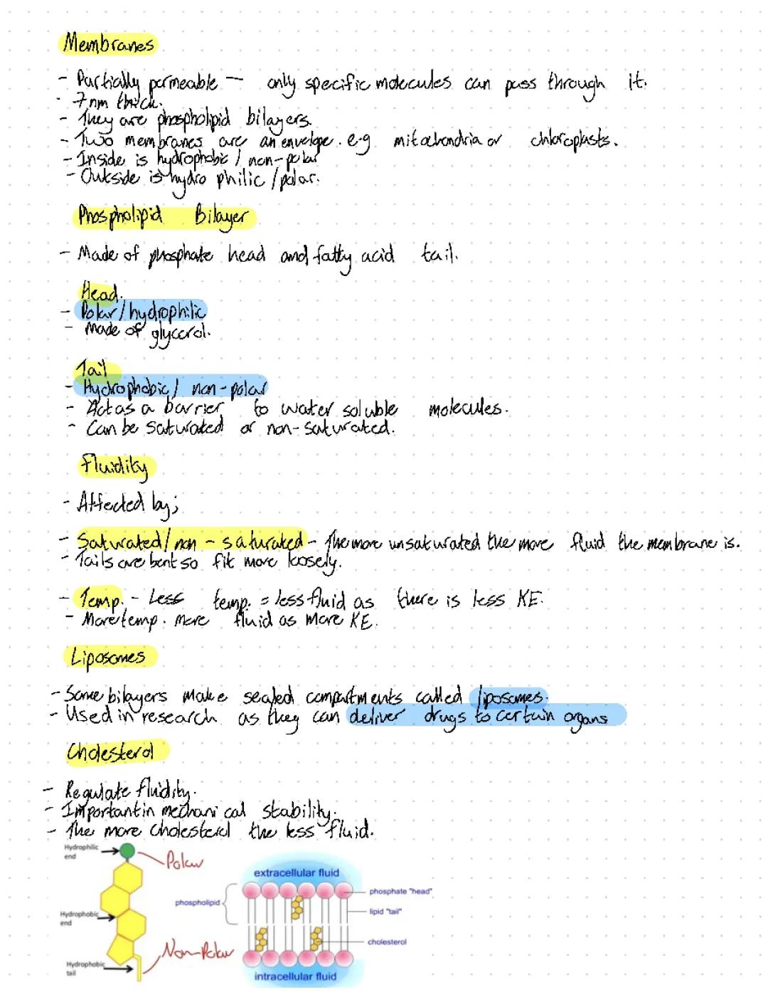 WJEC Biology AS Unit 1.3