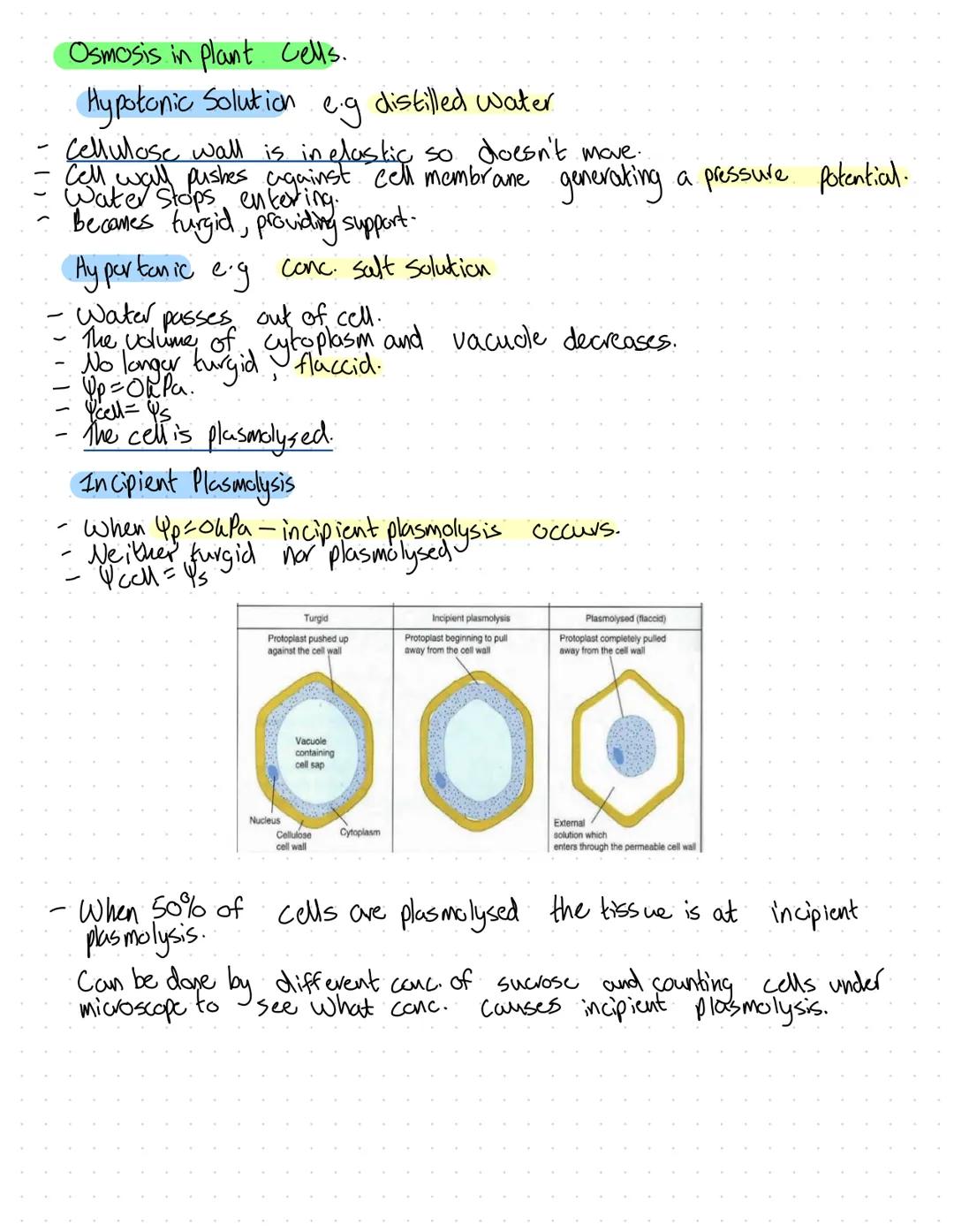 Membranes
Partially permeable
7nm thick.
- They are phospholipid bilayers.
Two membranes are an envelope.e.g mitochondria or chloroplasts.
-