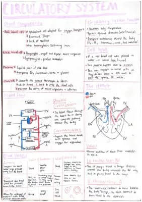 Know Circulatory system thumbnail