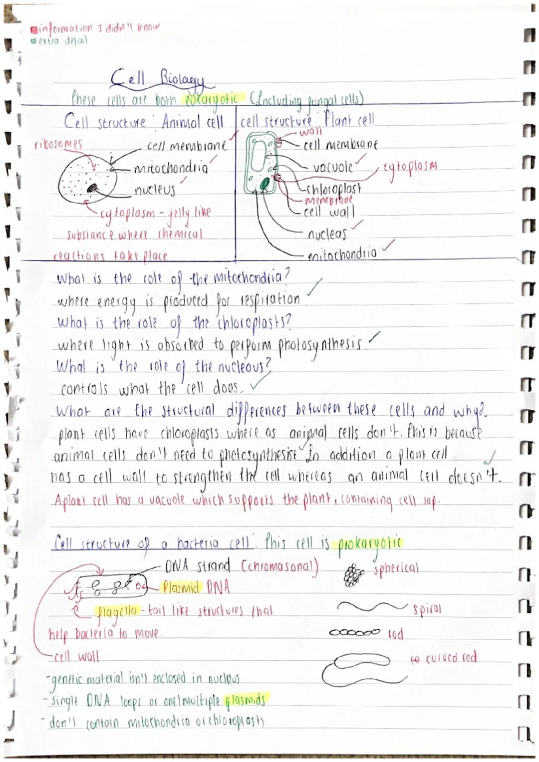 @information I didn I know
extra dejail
# Cell Biolagy
these cells are both exaryotic (Including jungal cells)
Cell structure Animal cell ce