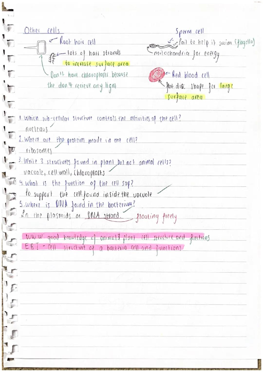 @information I didn I know
extra dejail
# Cell Biolagy
these cells are both exaryotic (Including jungal cells)
Cell structure Animal cell ce