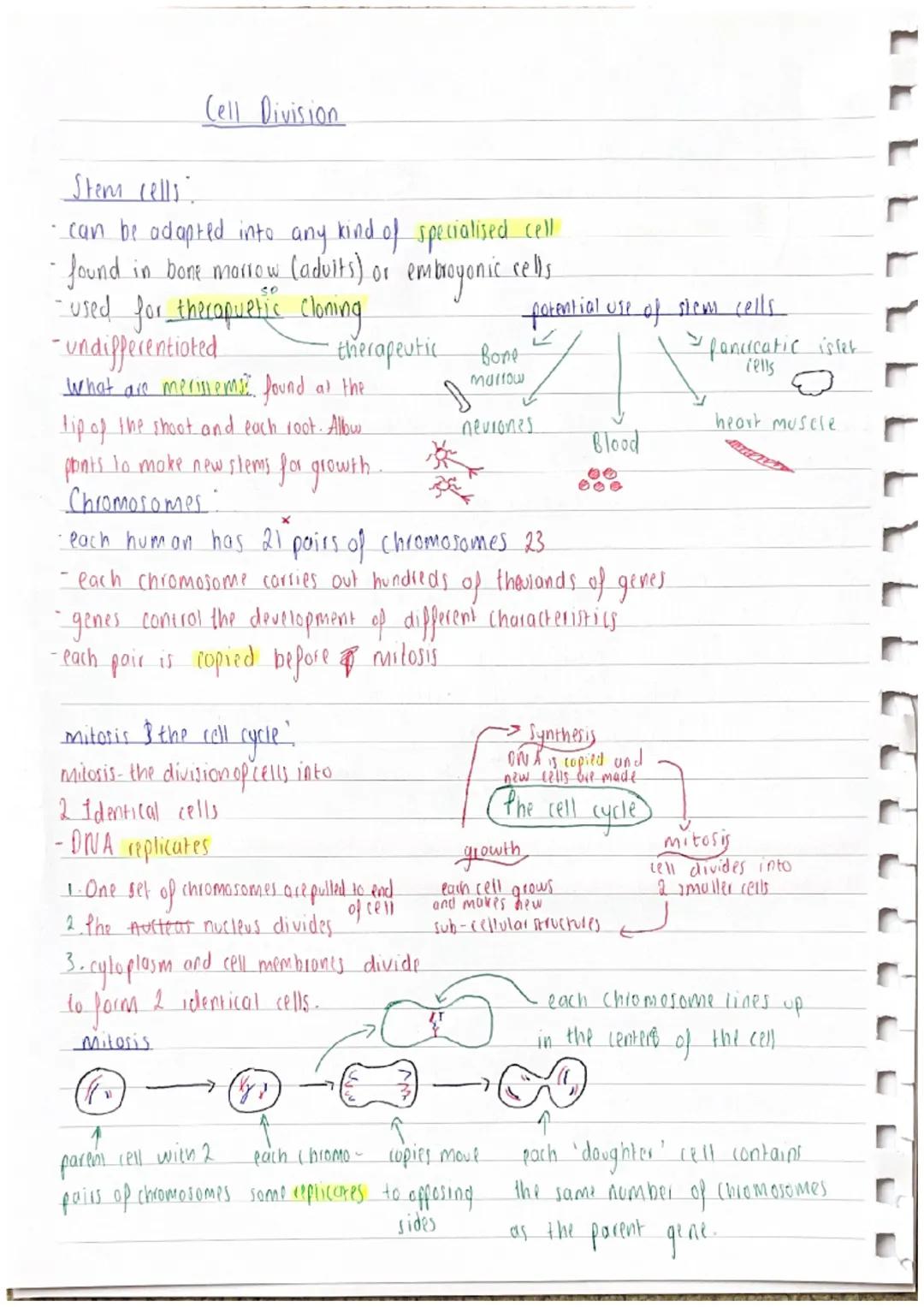 @information I didn I know
extra dejail
# Cell Biolagy
these cells are both exaryotic (Including jungal cells)
Cell structure Animal cell ce