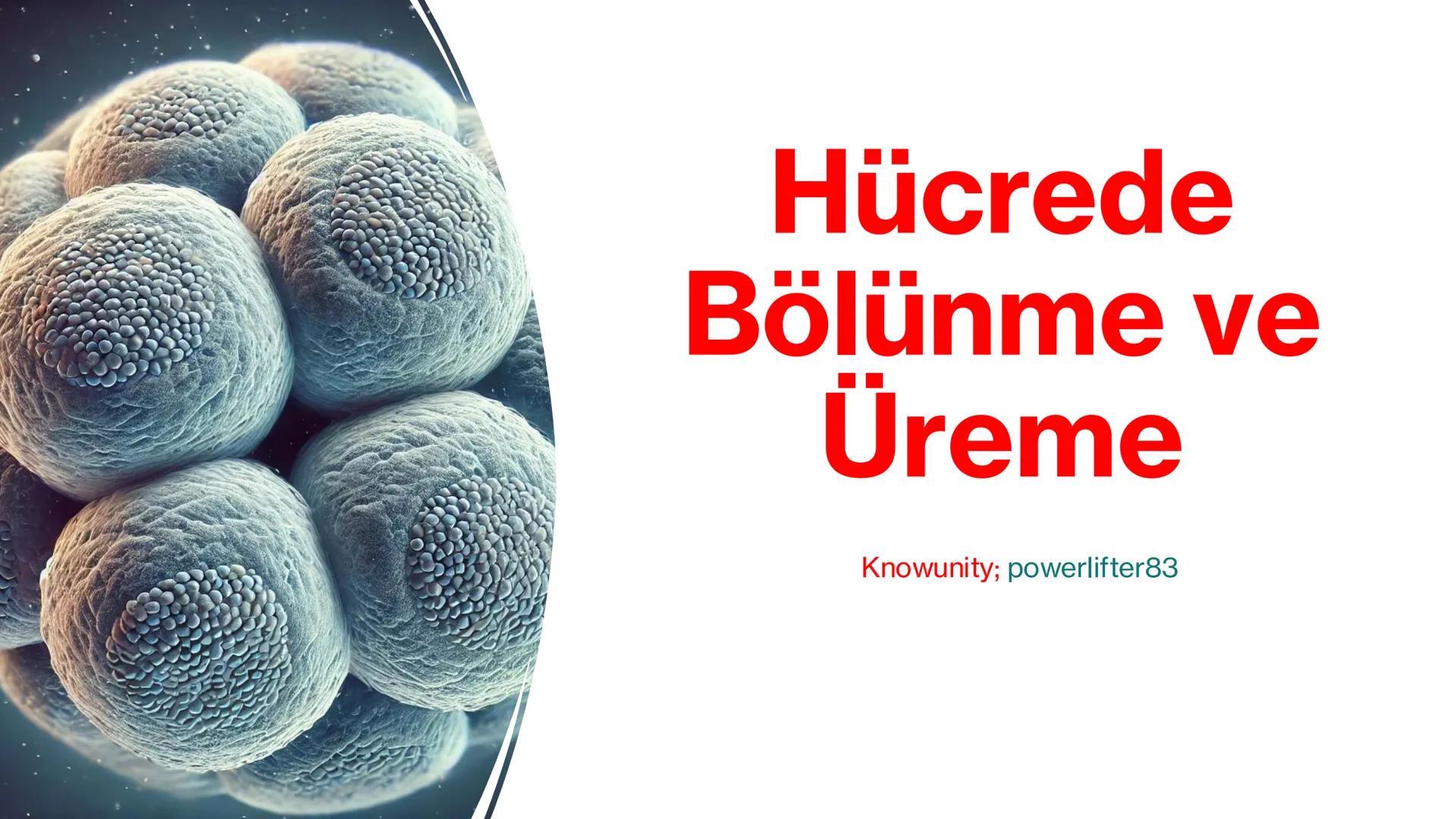 # Hücrede
# Bölünme ve
# Üreme

Knowunity; powerlifter83 # Giriş

- Canlılar yaşamlarını sürdürebilmek,
büyüyebilmek ve türlerini devam etti