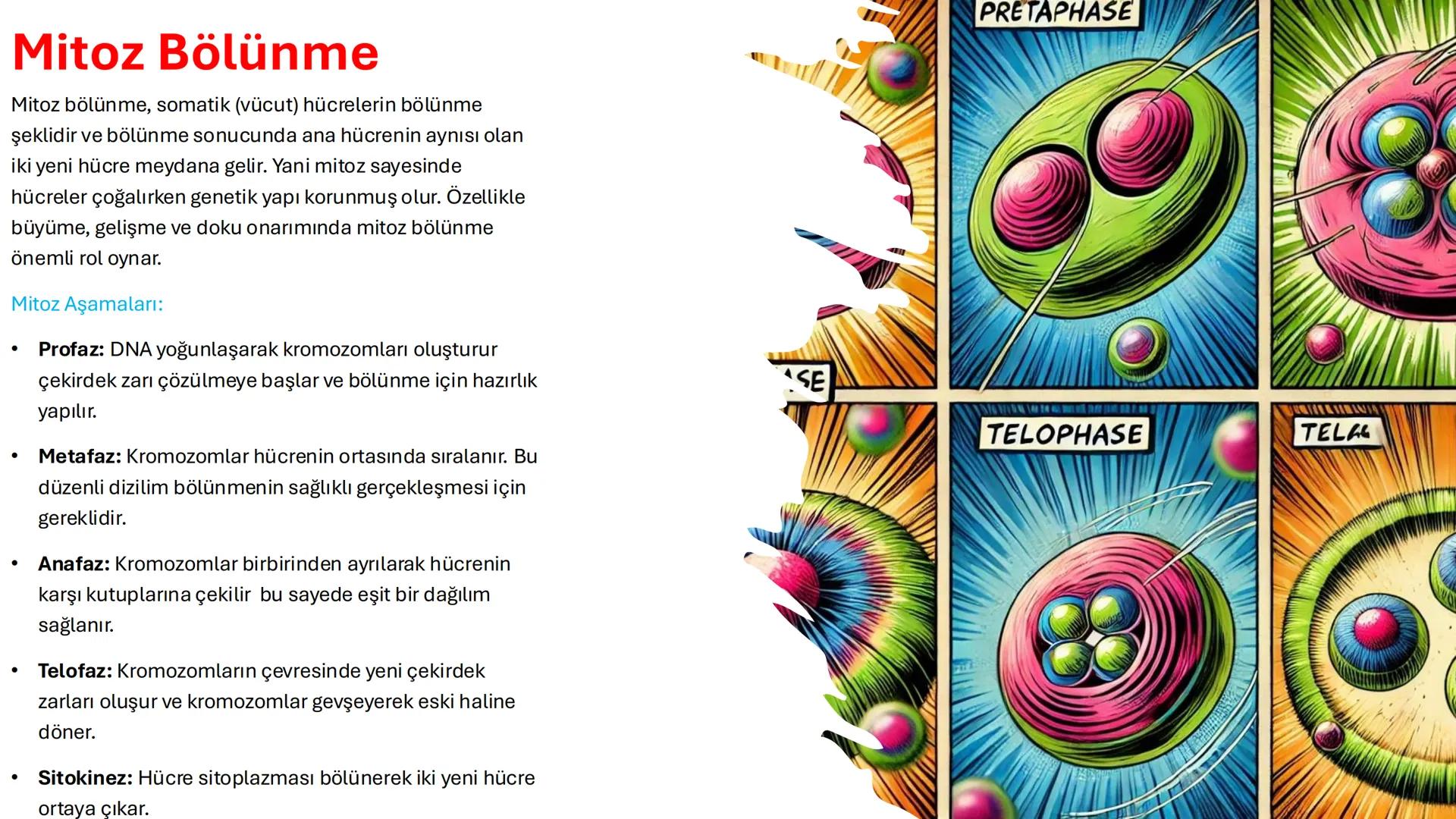 # Hücrede
# Bölünme ve
# Üreme

Knowunity; powerlifter83 # Giriş

- Canlılar yaşamlarını sürdürebilmek,
büyüyebilmek ve türlerini devam etti