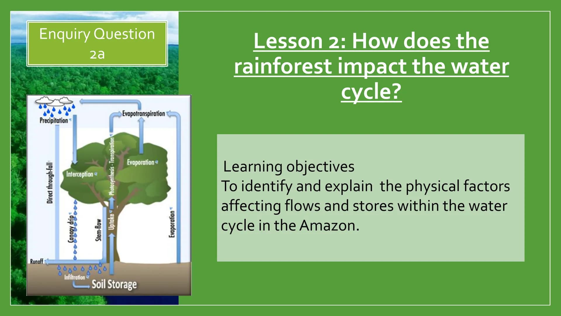 TUNDRA
TAIGA
TROPICAL
RAIN FOREST
TEMPERATE DECIDUOUS FOREST
DESERT
TROPICAL GRASSLAND
AND
TAIGA
TEMPERATE
GRASSLAND
TUINISIMER
ENQUIRY Q 2: