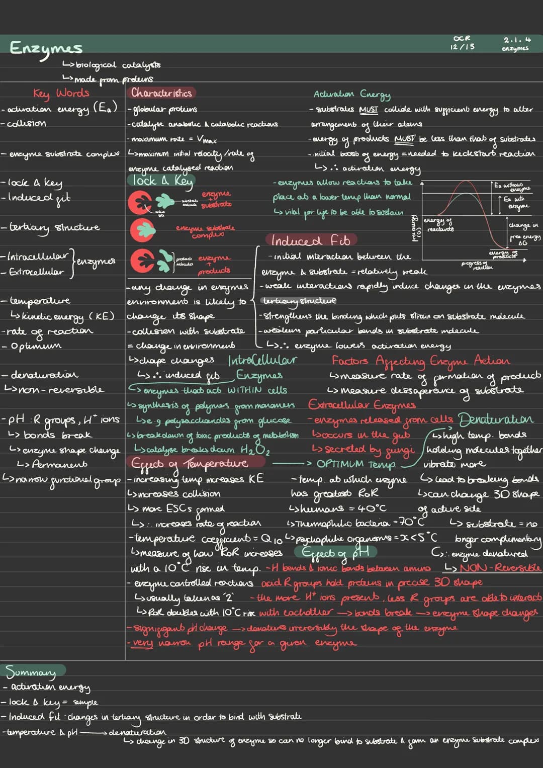 Enzymes
Key Words
energy
- activation
-collision
L>biological catalysts
made from proteins
(E₂)
- enzyme substrate complex <>maximum initial