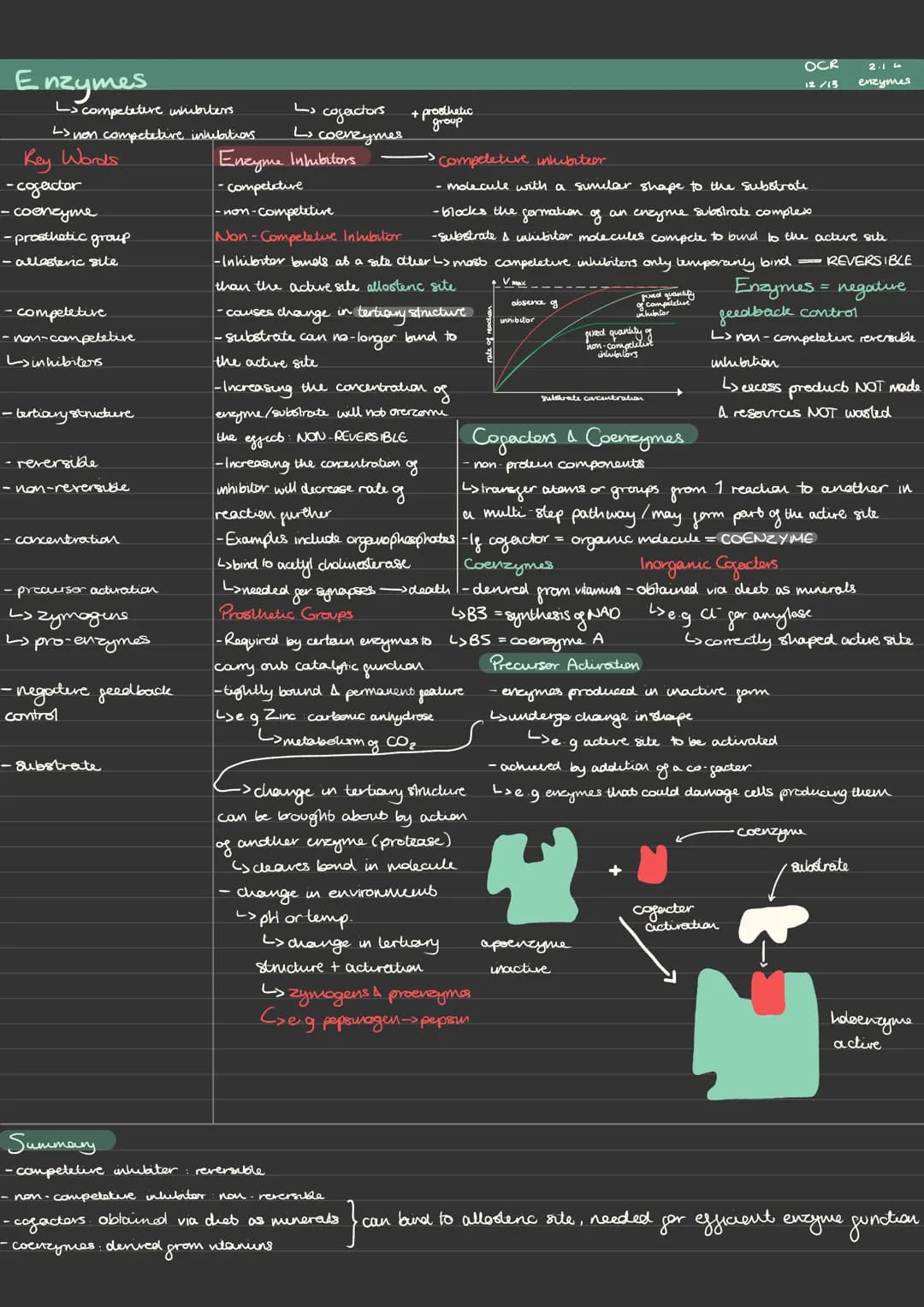 Enzymes
Key Words
energy
- activation
-collision
L>biological catalysts
made from proteins
(E₂)
- enzyme substrate complex <>maximum initial