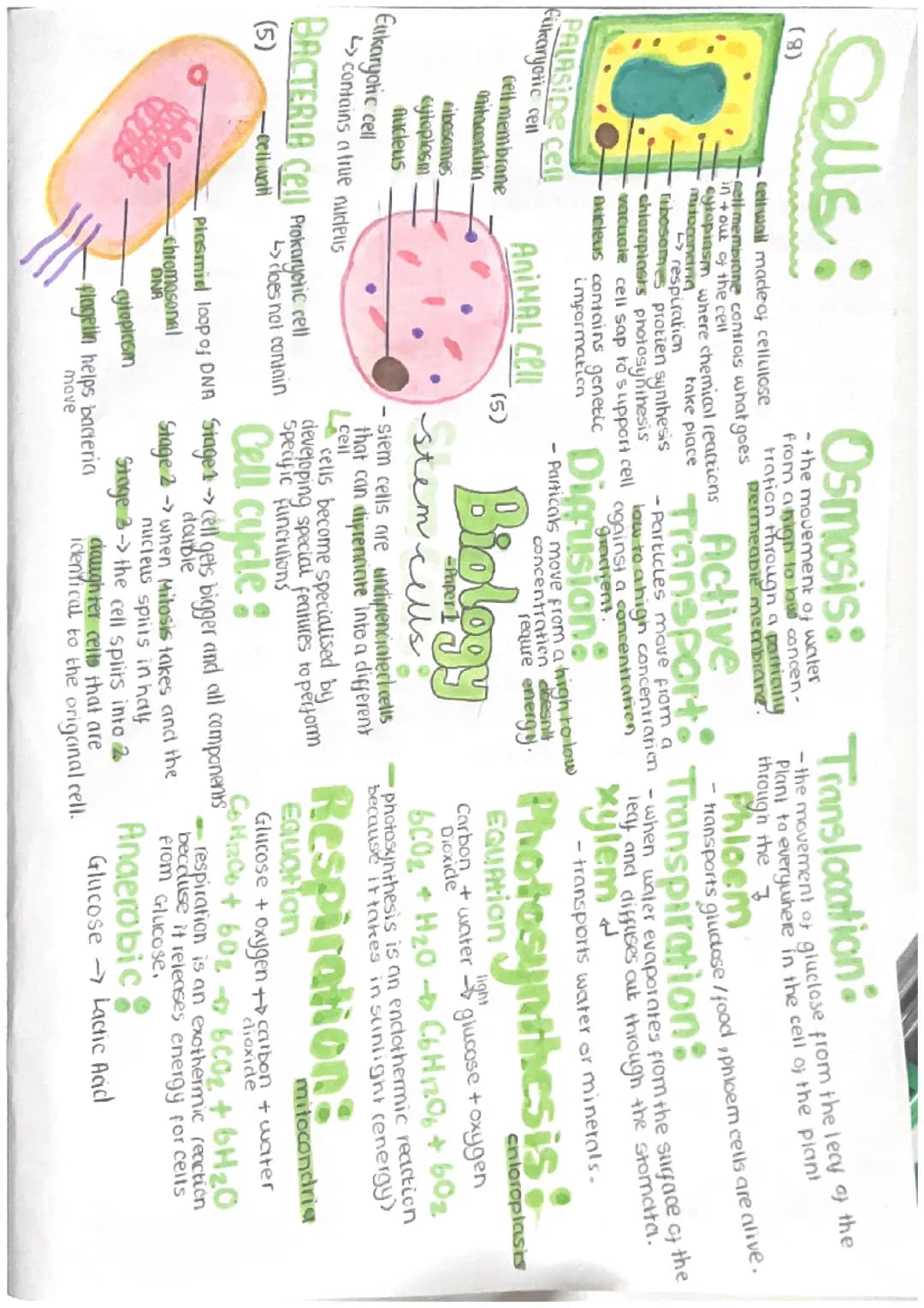 biology paper 1 
