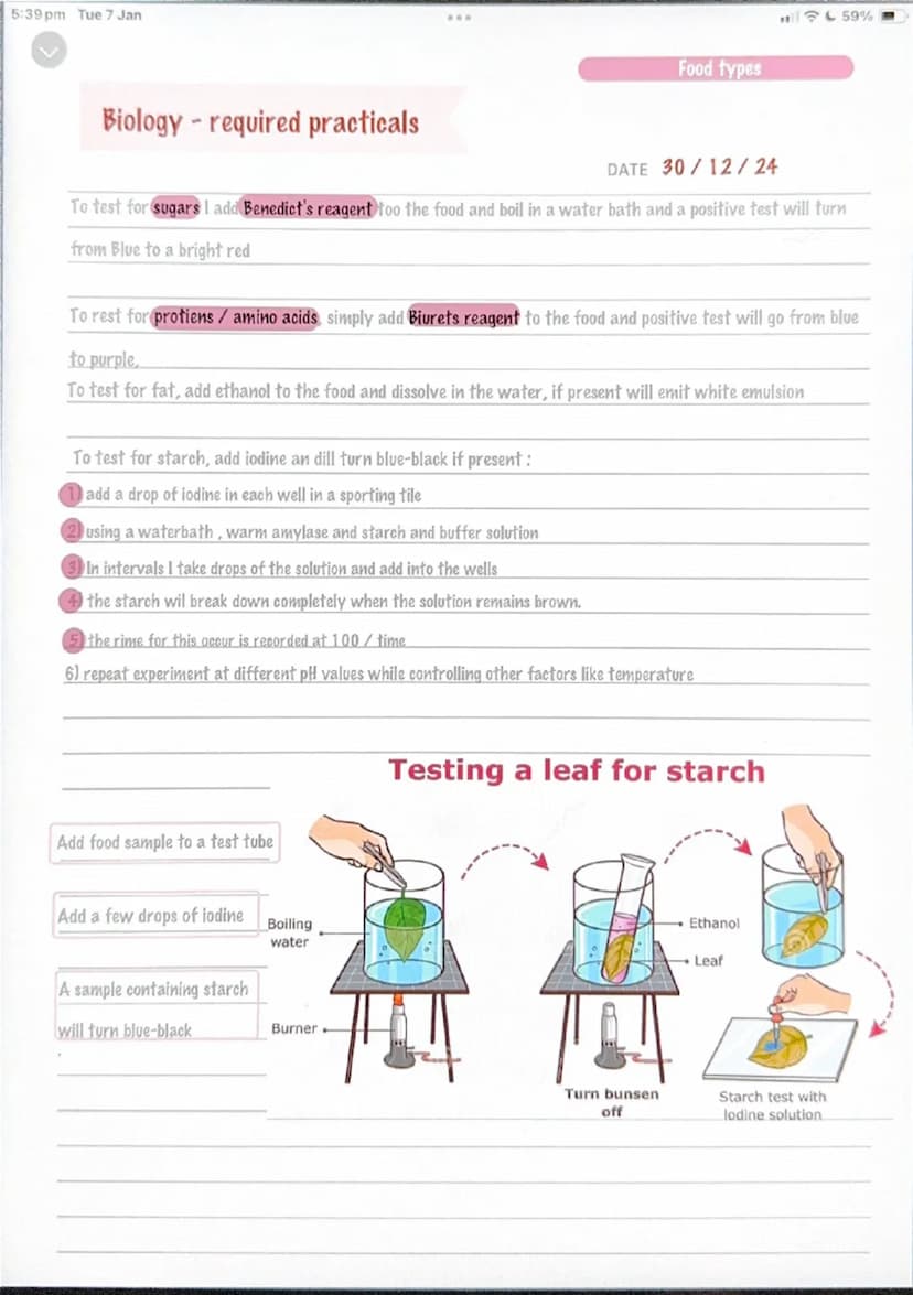 5:39 pm Tue 7 Jan
Microscopy
159%
Biology required practicals
1) collect a sample of the cell you wish
to observe.
remove the inner skin of 