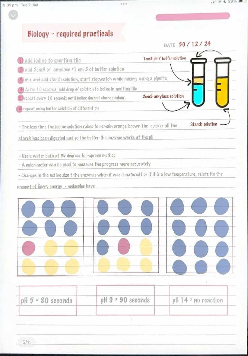 5:39 pm Tue 7 Jan
Microscopy
159%
Biology required practicals
1) collect a sample of the cell you wish
to observe.
remove the inner skin of 