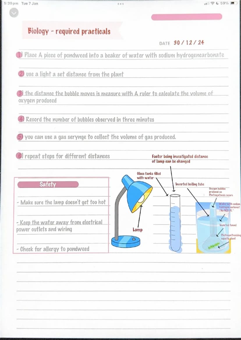5:39 pm Tue 7 Jan
Microscopy
159%
Biology required practicals
1) collect a sample of the cell you wish
to observe.
remove the inner skin of 