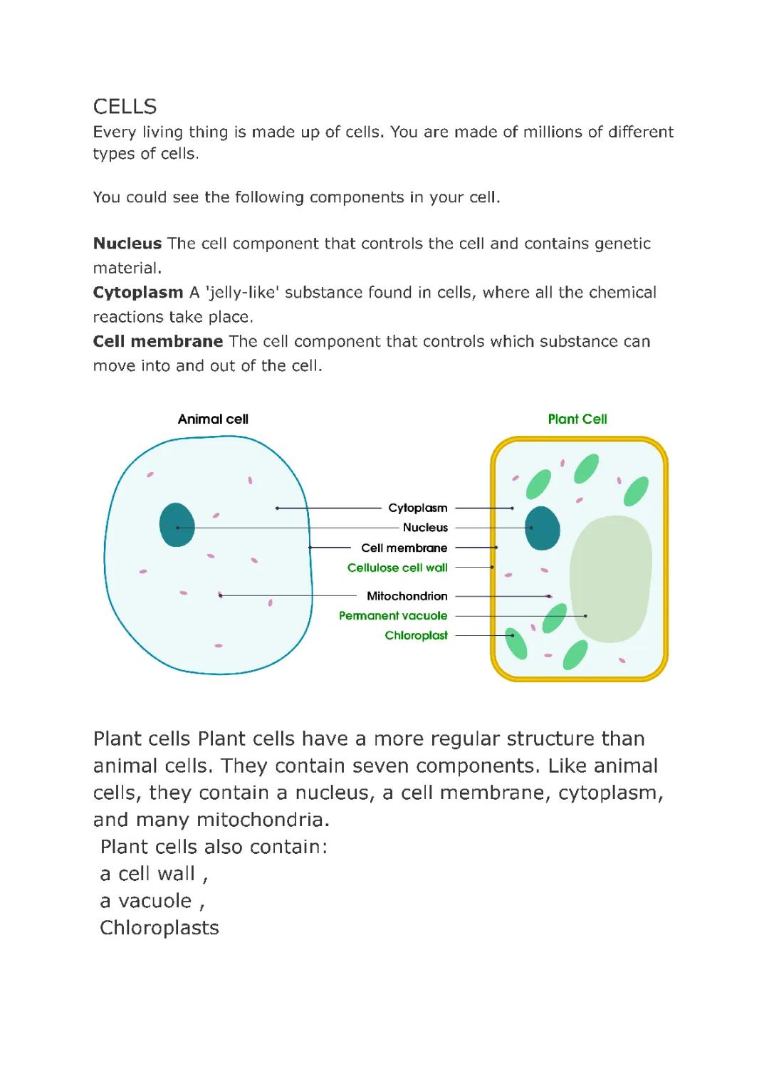 Cells