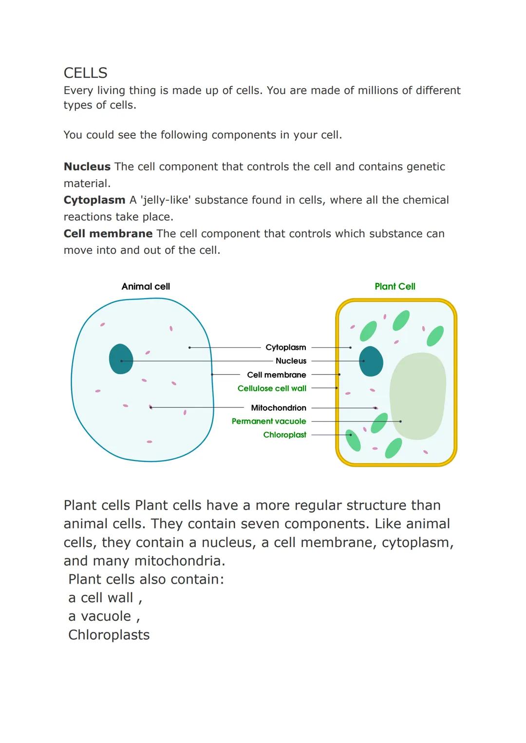 CELLS
Every living thing is made up of cells. You are made of millions of different
types of cells.
You could see the following components i