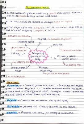 Know The Endocrine System  thumbnail