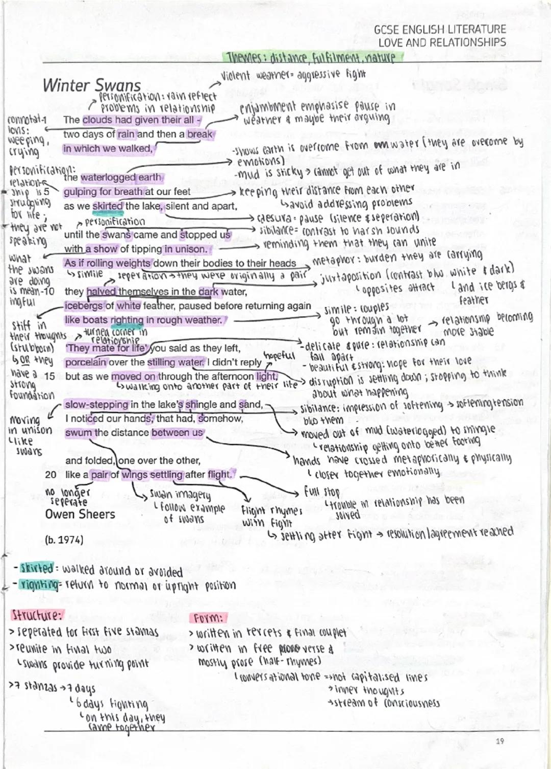 Winter Swans detailed annotations 