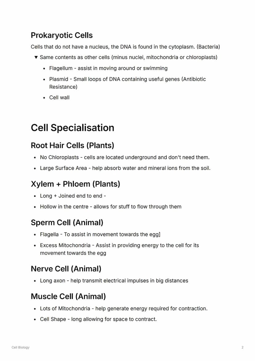 Cell Biology
S
Cell Biology
Cell Types
Animal Cells
Contains: Nucleus, Cell Membrane, Cytoplasm, Ribosomes, Mitochondria
▼Functions of Conte