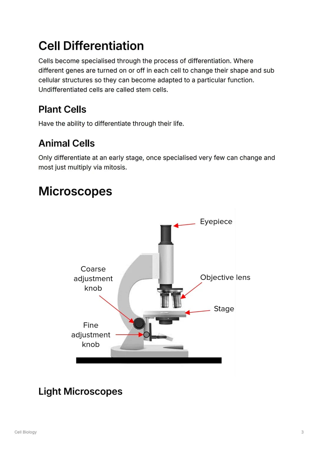 Cell Biology
S
Cell Biology
Cell Types
Animal Cells
Contains: Nucleus, Cell Membrane, Cytoplasm, Ribosomes, Mitochondria
▼Functions of Conte
