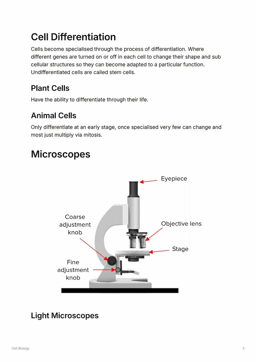 Cell Biology
S
Cell Biology
Cell Types
Animal Cells
Contains: Nucleus, Cell Membrane, Cytoplasm, Ribosomes, Mitochondria
▼Functions of Conte