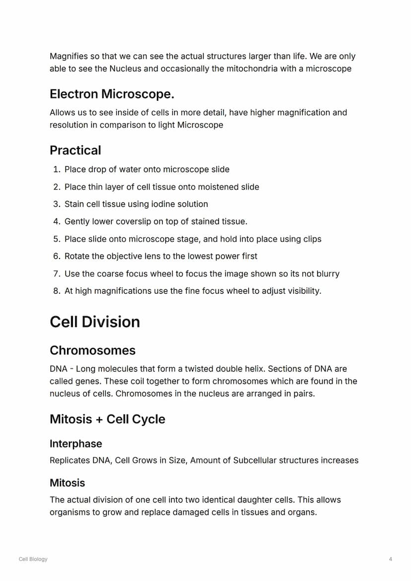Cell Biology
S
Cell Biology
Cell Types
Animal Cells
Contains: Nucleus, Cell Membrane, Cytoplasm, Ribosomes, Mitochondria
▼Functions of Conte
