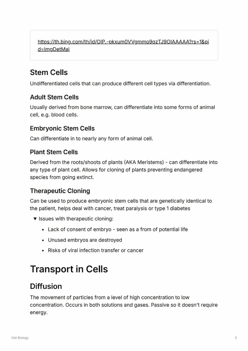 Cell Biology
S
Cell Biology
Cell Types
Animal Cells
Contains: Nucleus, Cell Membrane, Cytoplasm, Ribosomes, Mitochondria
▼Functions of Conte