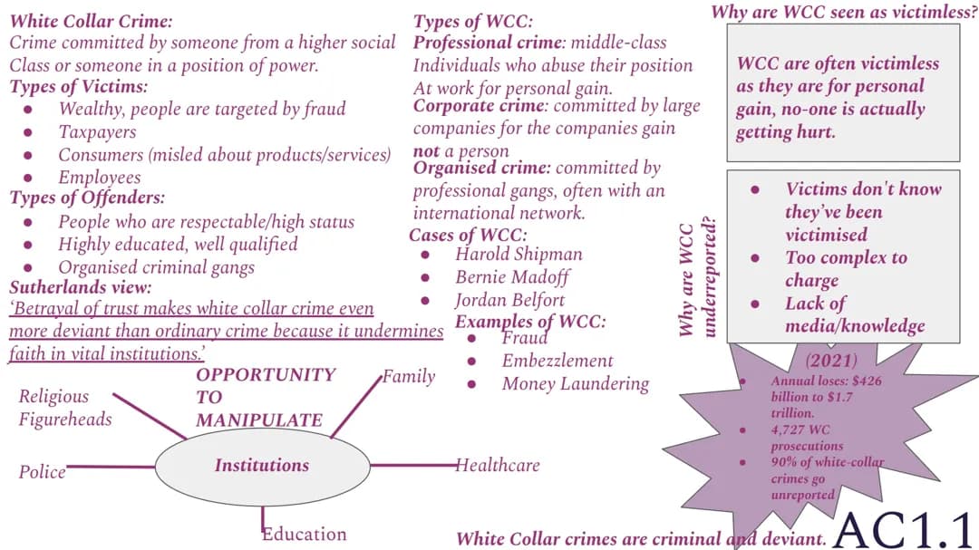White-Collar Crime: Examples, Cases, and the Story of Jordan Belfort