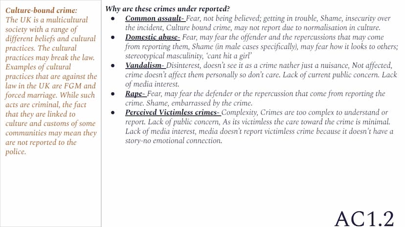 <h2 id="whitecollarcrime">White Collar Crime</h2>
<p>White collar crime refers to crimes committed by individuals from a higher social class