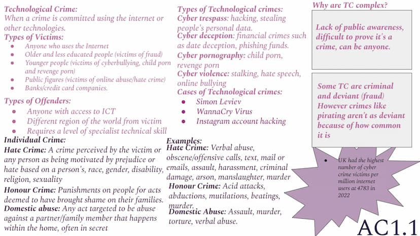 <h2 id="whitecollarcrime">White Collar Crime</h2>
<p>White collar crime refers to crimes committed by individuals from a higher social class
