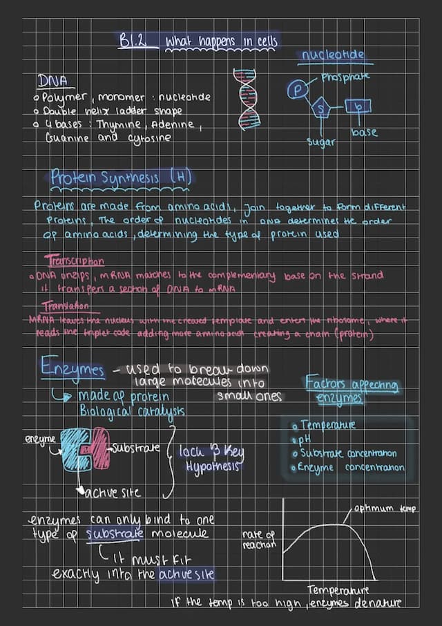 Know B1.2 what happens in cells  thumbnail