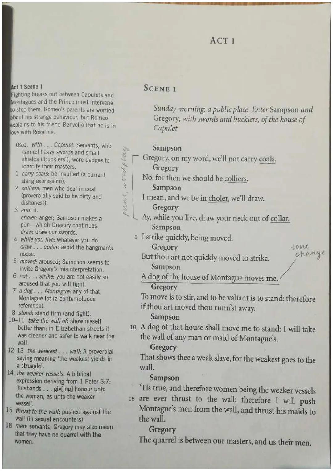 English literature: Romeo & Juliet - Act 1 Scene 1 - ANNOTATIONS