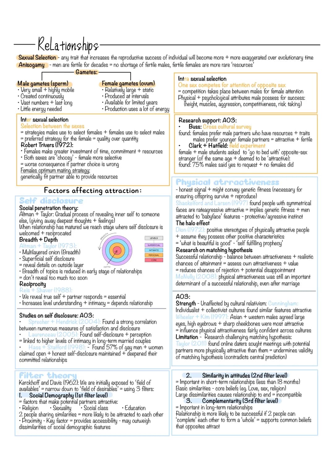 Psychology Relationships Revision Notes
