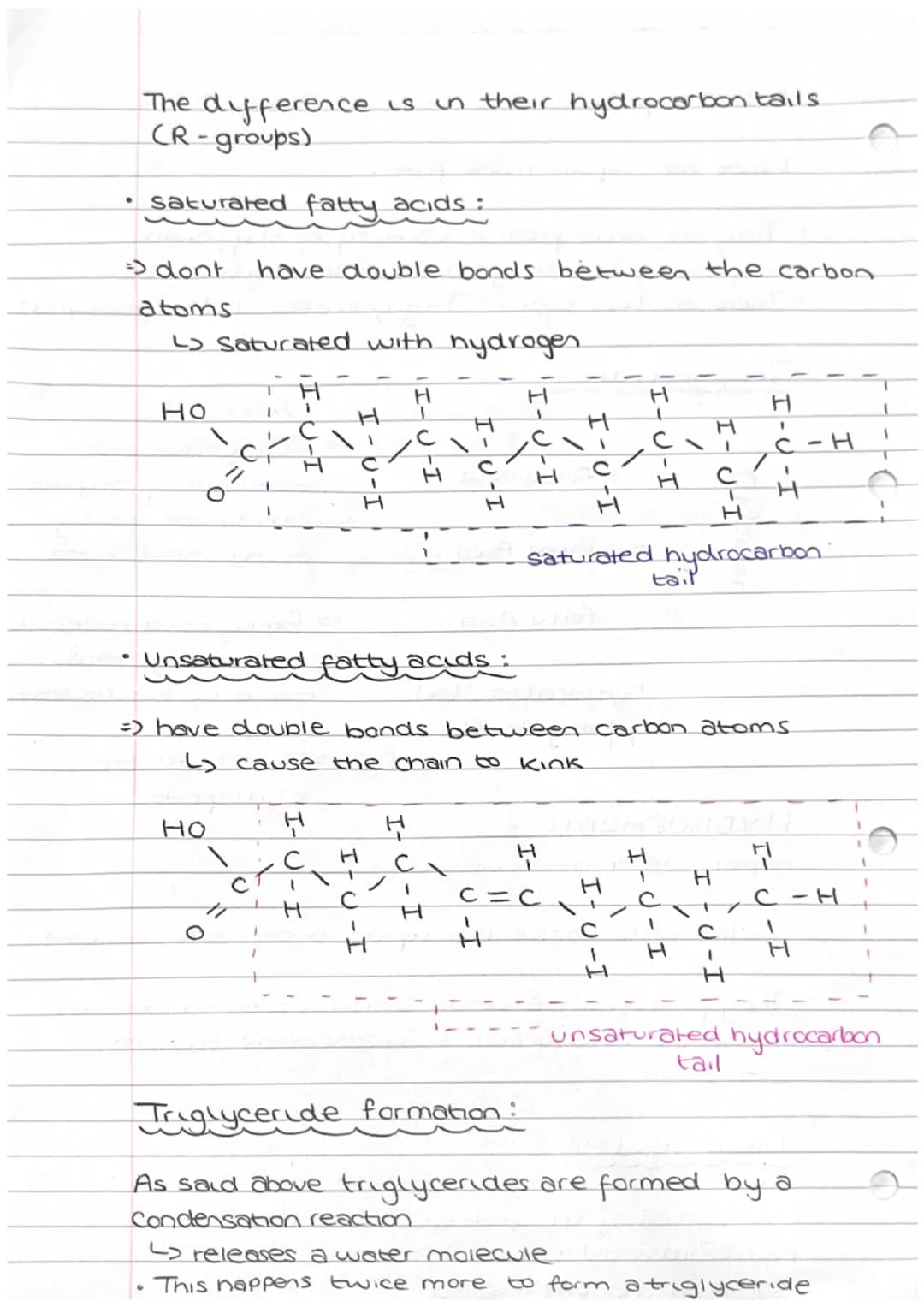 1.3 Lipids
What are lipids made from?
They are made from a variety of different.
Components but they all contain hydrocarbons
•There are two