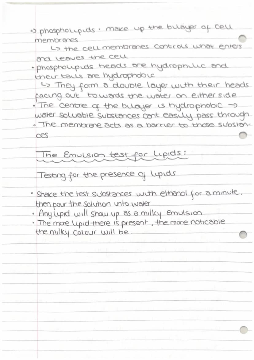 1.3 Lipids
What are lipids made from?
They are made from a variety of different.
Components but they all contain hydrocarbons
•There are two