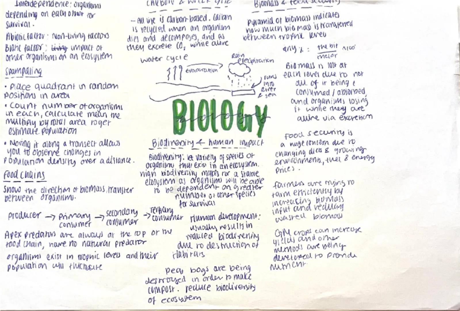 ## Crime and Punishment 12 marks

| Question | CLUES: | Paragraph 1 | Paragraph 2 | Paragraph 3 |
|---|---|---|---|---|
| Explain how the Me